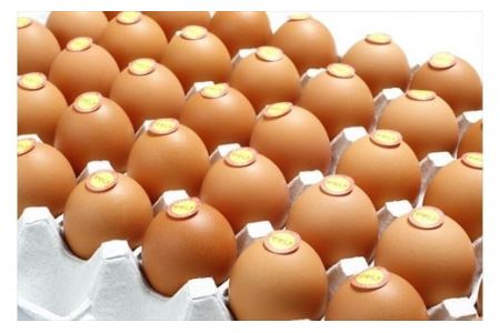 【12ヶ月定期便】せせらぎ卵 50個 〈丹波市産〉 鶏卵 定期便
