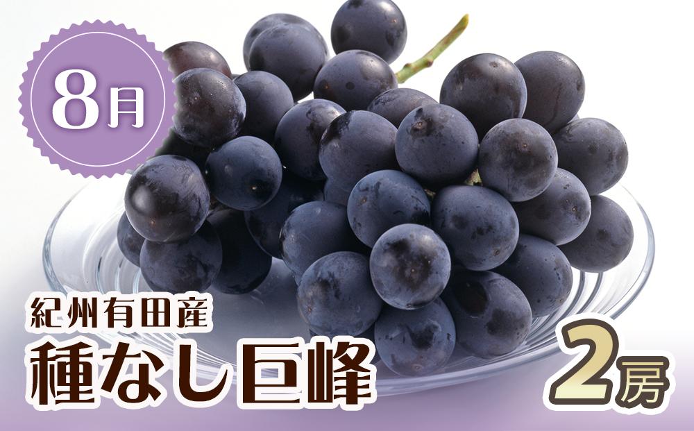 【7・8・9月 全3回 定期便 】紀州和歌山産旬のフルーツセット（桃・種なし巨峰・シャインマスカット）【UT124】