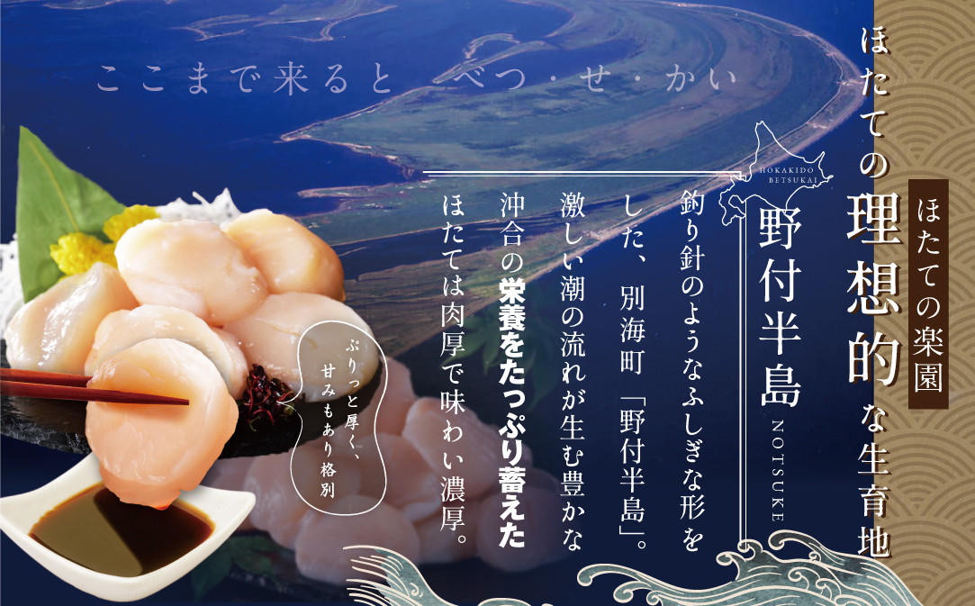 【ホタテ禁輸措置生産地応援緊急支援品】ランキング第３位獲得！  野付産 冷凍 ホタテ 500g 大粒 （訳あり ホタテ 送料無料）水産事業者支援