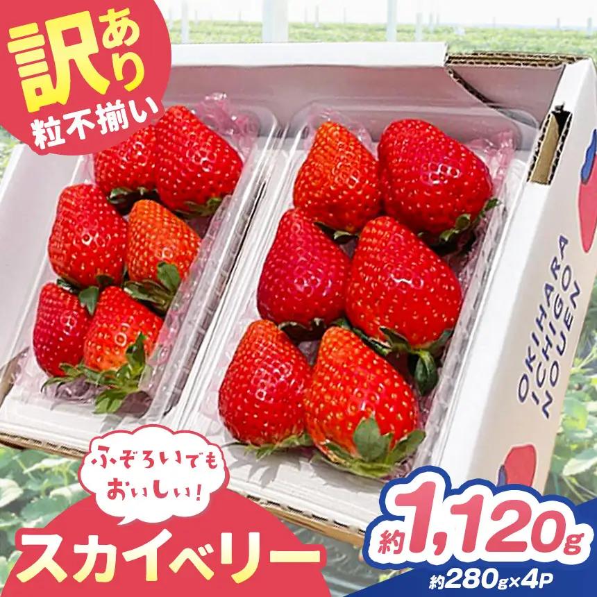訳あり 粒不揃い スカイベリー 1,120g (280g×4P)  | 栃木県 矢板市 澳原いちご農園