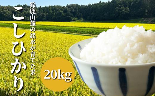 【令和6年度】こしひかり 20kg 鈴鹿山麓の銘水が育てた米、米どころ三重県産小山田地区「こしひかり」20kg