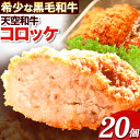 【ふるさと納税】揚げずにチンするコロッケ 天空和牛コロッケ 20個《30日以内に出荷予定(土日祝除く)》有限会社松牛 和歌山県 紀の川市 熊野牛 紀の川天空和牛 惣菜 おかず 冷凍