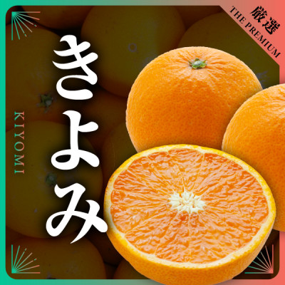 【発送月固定定期便】柑橘【みかん・まどんな・きよみ・ニューサマーオレンジ】【H31−47】全4回【4058614】