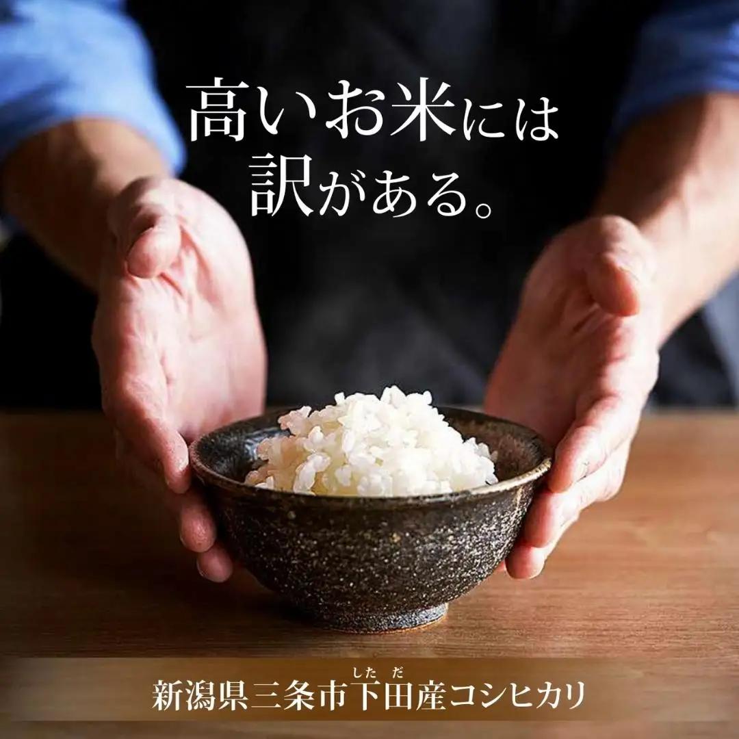 [定期便] 天水田で育った コシヒカリ 5kg × 6か月 オーガニック米 新潟県産 コシヒカリ