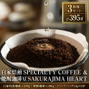 【ふるさと納税】選べる！自家焙煎SPECIALTY COFFEE＆焼酎珈琲豆SAKURAJIMA HEART(計395g)スペシャルティコーヒーのハートブレンド豆or粉！自家焙煎 焙煎 コーヒー豆 粉 ドリップ バッグ セット【ハートカフェ】