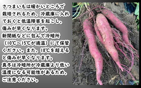 8-012-008　さつまいも（あまはづき）5kg【マルゼン佐藤果樹園】