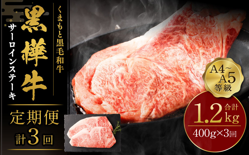 
                  【3回定期便】くまもと黒毛和牛 杉本本店 黒樺牛 A4~A5等級 サーロインステーキ定期便 400g×3回
                