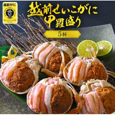 ふるさと納税 越前町 越前せいこ蟹 甲羅盛り「身出し」セット 5杯【1月より順次発送】