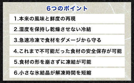 自宅で透明感を再現！須佐男命いかの姿造り（刺身）特殊冷却「3D冷凍」パック 2個セット｜HG000428