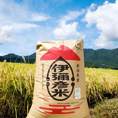 ふるさと納税 弥彦村 【令和7年産・皇室献上米 伊彌彦米コシヒカリ】玄米30kg　(2018年新嘗祭献上) 新潟県 弥彦村