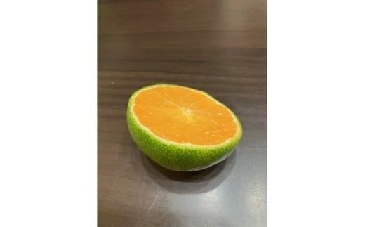 ＜先行受付＞和歌山県産温州みかん　5kg　わけあり品【1549547】