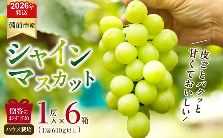 【2026年発送分　先行受付開始！】びぜん葡萄「シャインマスカット」（ハウス栽培）1房入×6箱セット（令和8年8月中旬～9月中旬頃発送）【葡萄 シャインマスカット】