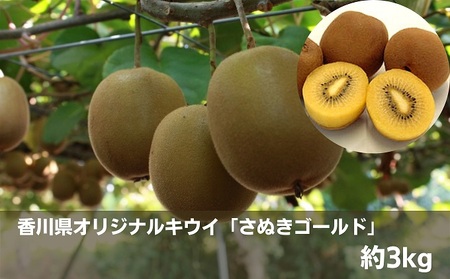 香川県オリジナルキウイ「さぬきゴールド」約3kg 果物詰合せ フルーツ 果物 詰合せ セット 