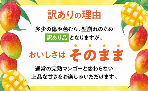 【期間・数量限定】宮崎県産訳あり完熟マンゴー1.2kg(3～4玉)