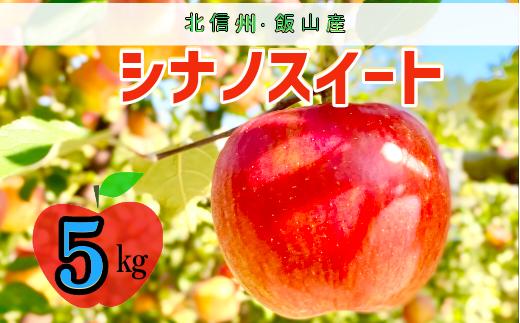 【先行予約】シナノスイート【約5ｋｇ(12〜18玉)】 (7-A24-2)
