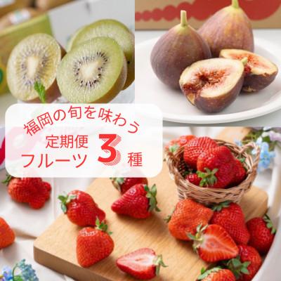 ふるさと納税 宇美町 【発送月固定定期便】旬の福岡フルーツ定期便　とよみつひめ・甘うぃ・春あまおう(宇美町)全3回
