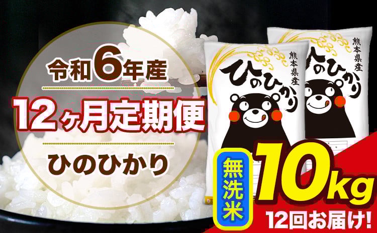 
            令和6年産【12ヶ月定期便】ひのひかり 無洗米 10kg 5kg×2袋 計12回お届け 熊本県産 こめ コメ 白米 精米 荒尾市 ひの 米 定期 《お申込み月の翌月から出荷開始》
          