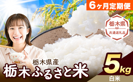 【6ヶ月定期便】米 栃木 ふるさと米 白米 5kg《定期は翌月より出荷開始》栃木県 野木町 米 白米 精米 国産 お米 おこめ お弁当 おにぎり【栃木県共通返礼品】
