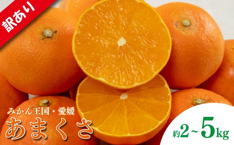 
                  訳あり みかん 家庭用 あまくさ 約2㎏ または 約5kg ( 訳あり みかん 訳あり柑橘 訳あり商品 あまくさ みかん 柑橘 紅まどんな の親品種 松山 愛媛県 )
                