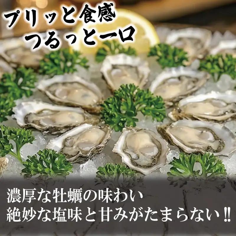 【先行予約】 牡蠣 生牡蠣 殻付き 40個 生食可  (ナイフ付き)ラブリィキャンディ 真牡蠣 かき カキ