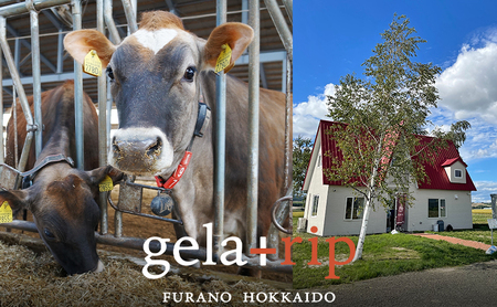 業務用 ジェラート 2L 北海道あずき 大容量 アイス デザート スイーツ ミルク 牛乳 北海道 上富良野町