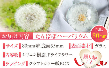 【pallo 80mm】たんぽぽハーバリウム / インテリア 雑貨 フラワー ナチュラル / 亀山市 / auRinko [AMBL002]