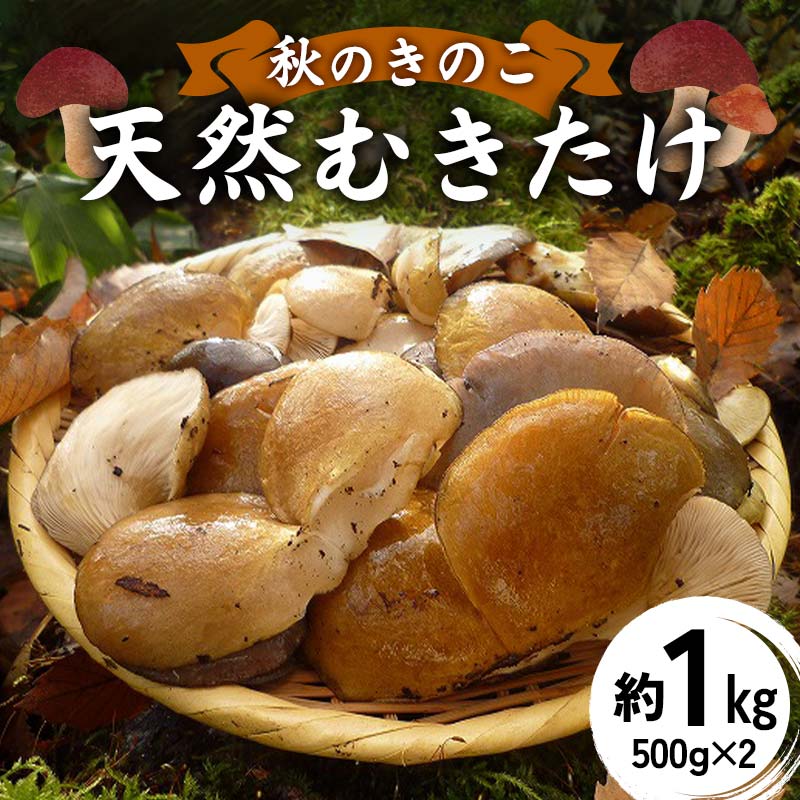 【ふるさと納税】秋のきのこ 天然むきたけ 約1kg（500g×2袋） F2Y-6171