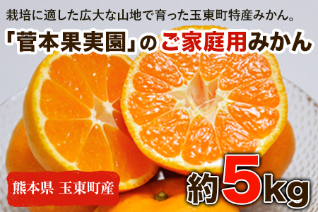 ご家庭用『菅本果実園』のご家庭用みかん★約5kg(2S-2Lサイズ)《11月下旬-12月末頃出荷》 予約受付中 フルーツ 秋 旬★熊本県玉名郡玉東町 全国にファン多数！エコファーマー菅本さんのみかん♪『菅本果実園』ちょこっと訳あり