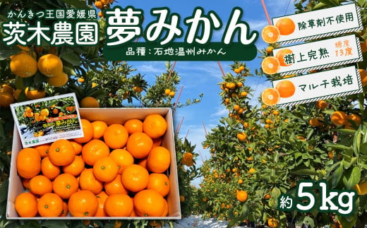 
茨木農園 「夢みかん（品種：石地温州みかん）」約5kg 樹上完熟 家庭用 みかん 温州みかん 石地みかん うんしゅう 西条市 愛媛 柑橘 【オンライン決済限定】
