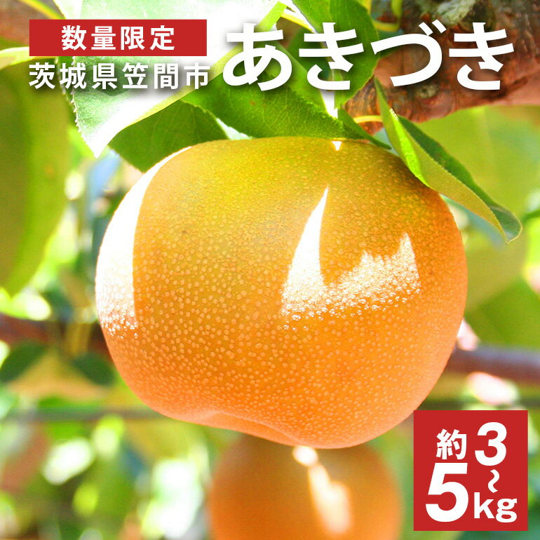 【ふるさと納税】【先行予約】【数量限定】 梨 あきづき 3kg 5kg 大玉 7～16個入り 柴沼梨園 ナシ なし 国産 茨城 秋 旬 フルーツ 果物 秋の味覚 旬の果物 くだもの 大きい サイズ 品種 産地 茨城県産 家庭用 産地 梨園 直送 茨城県 笠間市 送料無料 【9月上旬～中旬発送】