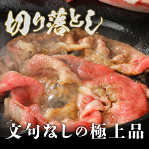 【冷凍】 前沢牛切り落としスライス (500g) ブランド牛肉 国産 国産牛 牛肉 お肉 冷凍 [U0196]