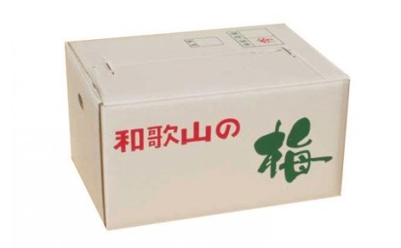 【梅干・梅酒用】（LまたはM－10Kg）熟南高梅＜2025年6月上旬～7月上旬ごろに順次発送予定＞/ 梅 生梅 梅干し 梅シロップ 青梅【art013A】