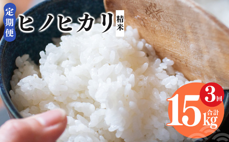 【 定期便 3回 】奈良県産 ヒノヒカリ 精米 5kg （ 計15kg ） | コメ 米 こめ ひのひかり もちもち 奈良県 五條市