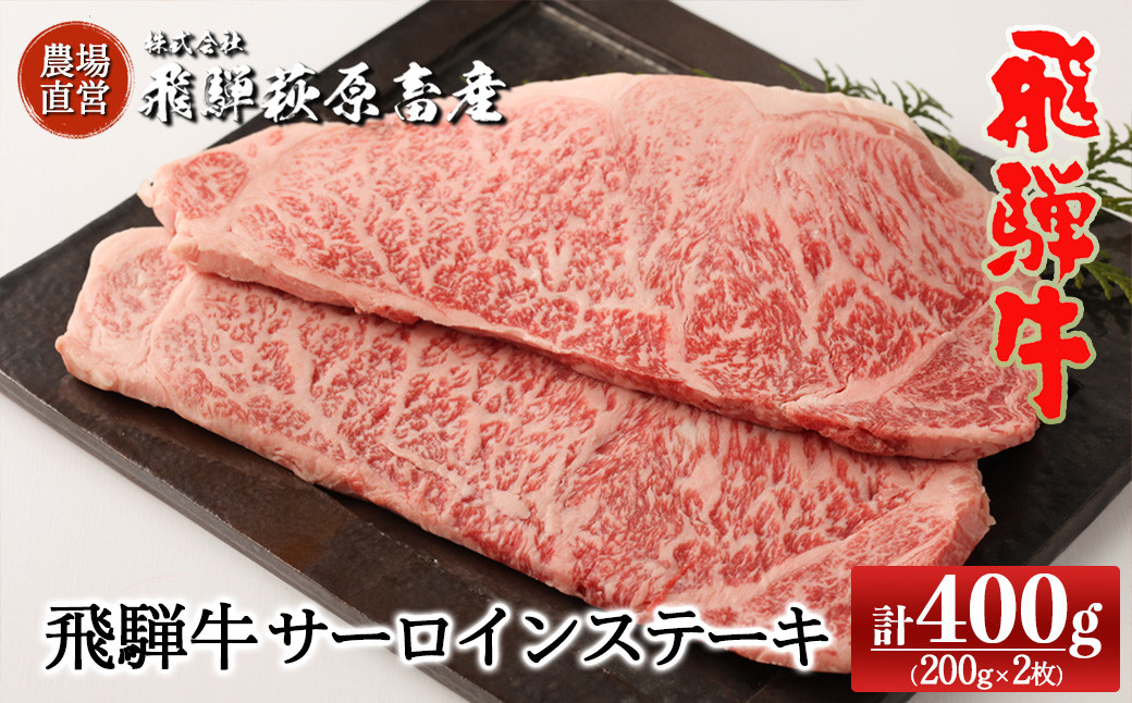 
                  飛騨牛サーロインステーキ  200g×2枚　国産 牛肉 ブランド牛 ステーキ ギフト 贈答【冷凍】
                
