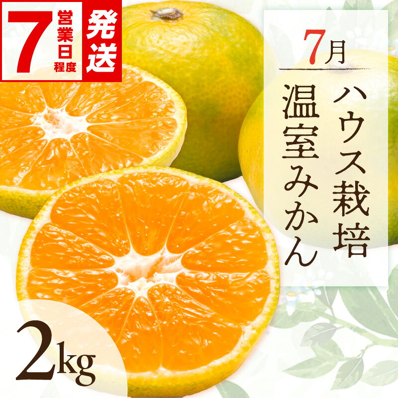【ふるさと納税】 ＼お中元 のし対応／〈 ご入金確認から7営業日程度で発送！ 〉7月の御浜柑橘 温室みかん 2kg │ みかん 高級品 国産 柑橘 フルーツ 果物 夏 旬 食品 産地直送 期間限定 夏ギフト お中元ギフト のし対応可 熨斗 ギフト対応可【時期指定・のし可】