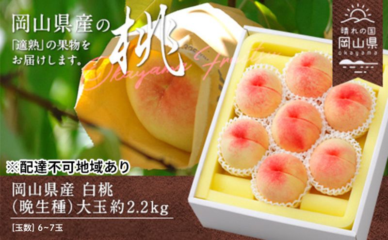 岡山県産 白桃（晩生種）大玉 約2.2kg（6～7玉）