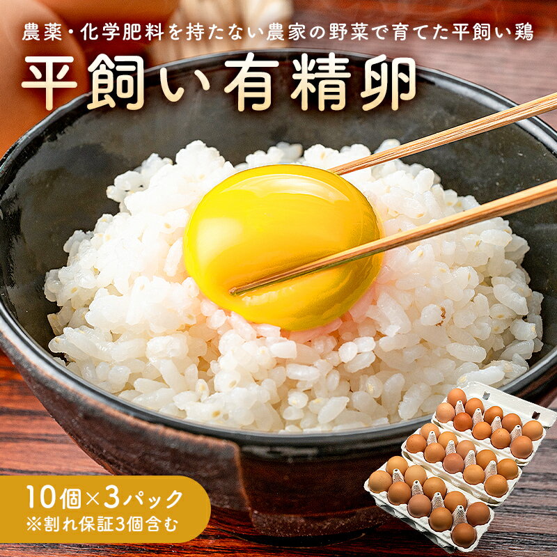 【ふるさと納税】 有精卵 10個×3パック（割れ保証3個含む）農薬・化学肥料を持たない農家の野菜で育てた平飼い鶏 千葉県 南房総市 こだわり 安全 安心 お取り寄せ グルメ 卵かけご飯 TKG 卵料理 玉子 生卵 送料無料