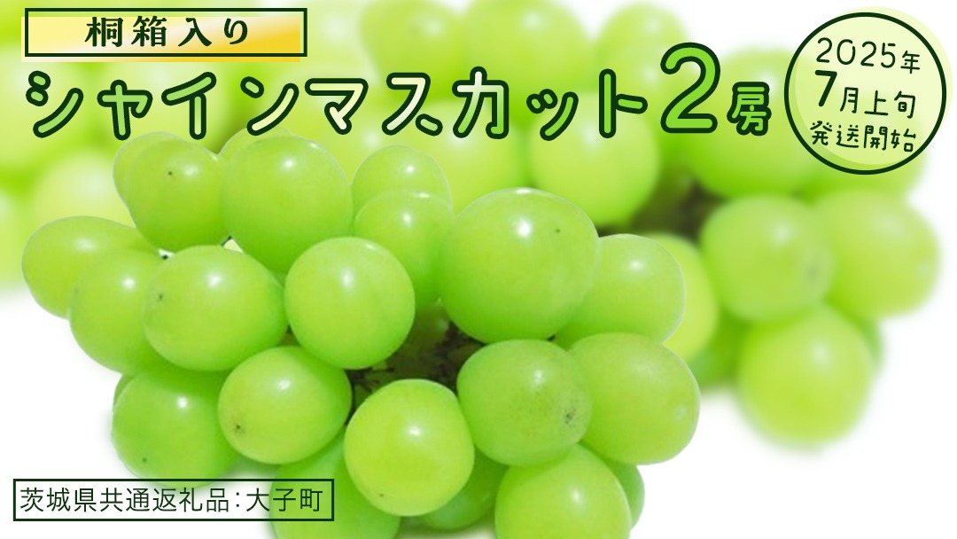 【桐箱入り】 シャインマスカット ２房 【2025年7月上旬発送開始】(茨城県共通返礼品：大子町) ぶどう 葡萄 マスカット フルーツ 果物 贈答用 ギフト 贈り物
