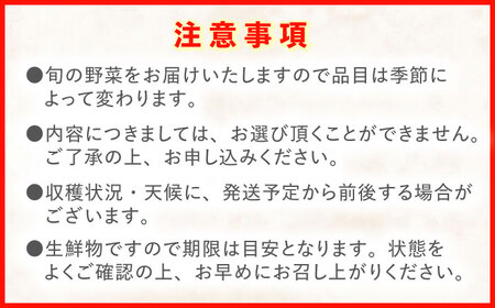 『定期便』_野菜等詰め合わせプレミアムセット(7?10品目)_全3回[AHAY018]