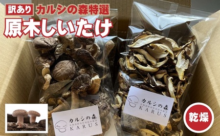 【訳あり】原木乾燥しいたけ 約160g | 合同会社カルシ [BNAU007]