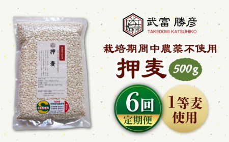 【全6回定期便】押麦500g（1等麦使用）【葦農】特別栽培農産物 麦[HAJ038]