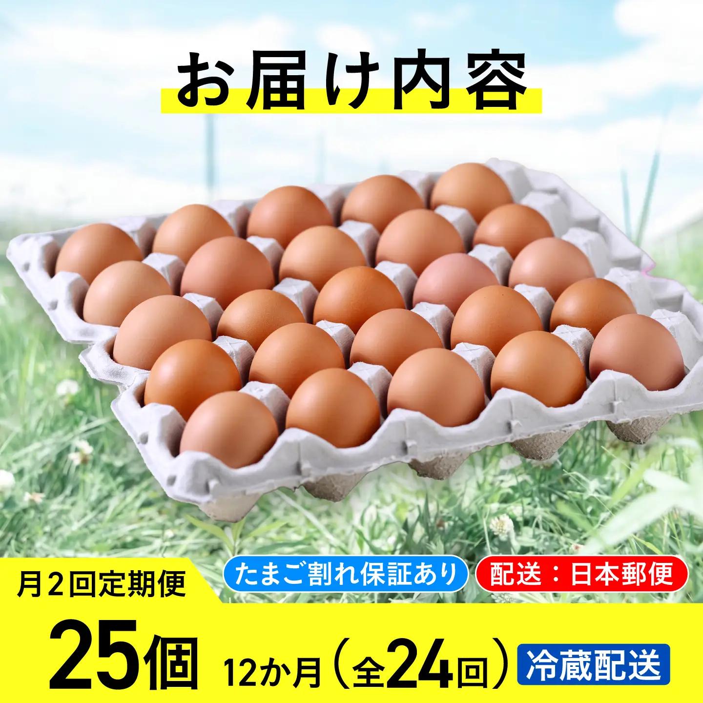 【月2回 12回定期便】平飼い有精卵 25個 計600個 冷蔵便 [AXAN028]