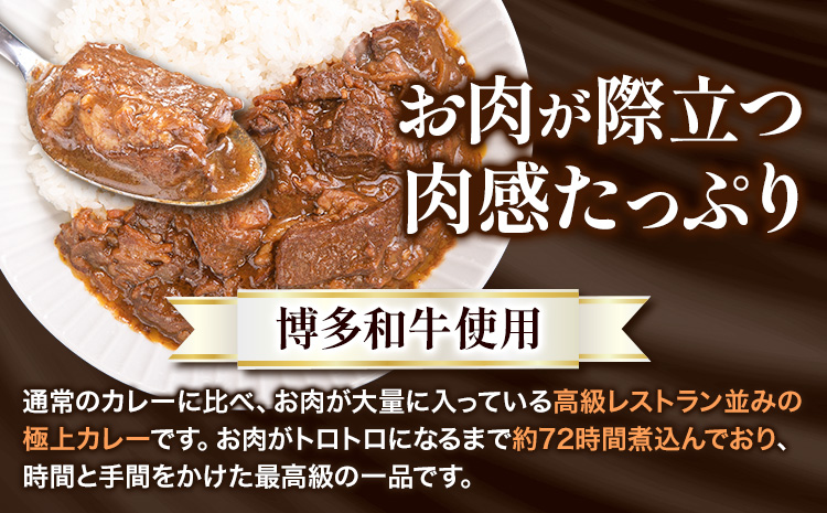 博多和牛の黄金カレー 200g×5食 清柳食産《30日以内に出荷予定(土日祝除く)》九州産 牛 カレー 黄金カレー---skr_fsruhkri_30d_23_13200_5i---