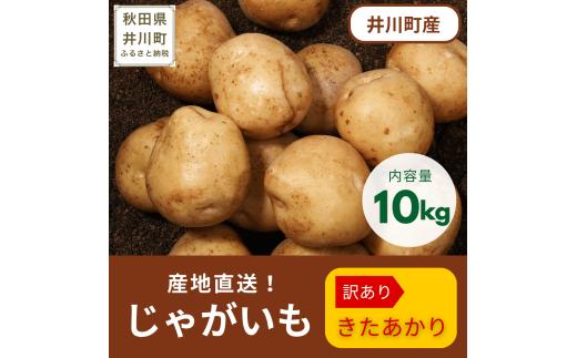 訳あり　じゃがいも10kg　【北あかり】