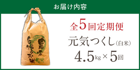 【定期便5回】【令和8年産 新米】福岡県産ブランド米元気つくし 白米 4.5kg×5回 _  元気つくし 4.5kg  お届け回数 5回 定期便 福岡県産 ブランド米 精米 新米 福岡生まれ 品種 香