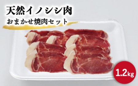 天然イノシシ肉 おまかせ焼肉セット 1,200g (ロース・モモ・バラ) / ジビエ 猪肉 いのしし肉 ジビエ肉 肉じゃが用肉 イノシシ いのしし焼肉 長崎ジビエ 猪 ぼたん鍋 鍋肉 猪鍋 ジビエ鍋 