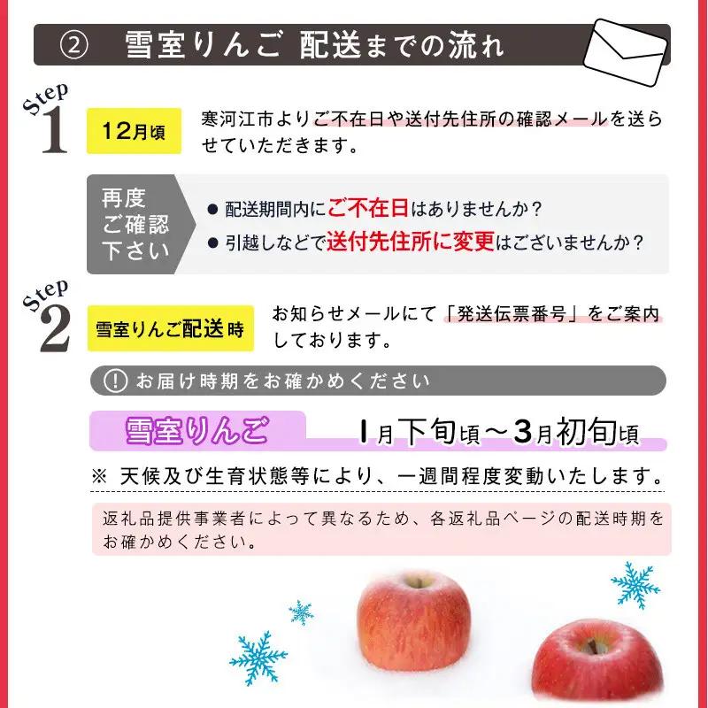 令和8年産 雪室りんご 5kg 「樹上完熟 ふじりんご」 小玉サイズ 2026年産 山形県産 【2027年1月上旬頃から3月頃 発送予定】　020-B-NG002
