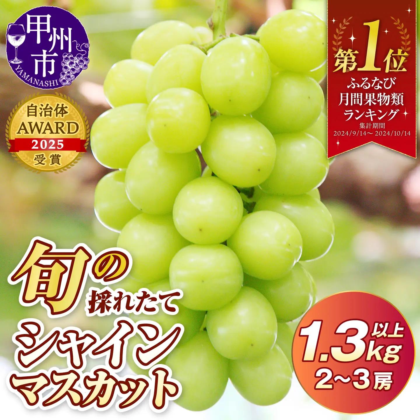 旬の採れたて大粒シャインマスカット1.3kg以上（2房～3房）【2027年発送】（HO）B12-150 シャインマスカット フルーツ