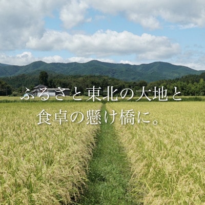 令和7年産 宮城県産 つや姫 7分づき精米 10kg ◆最高評価特A受賞