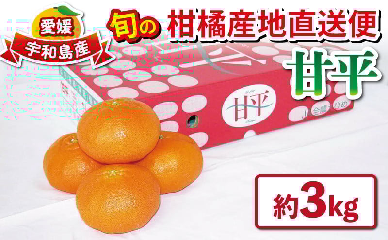 
            甘平 高級柑橘 優品 3kg 先行予約 えひめ南農業協同組合直販センター JA かんぺい 高級 希少 ブランド 限定 品種 甘い mikan 蜜柑 みかん 果物 フルーツ 愛媛ミカン 愛媛蜜柑 愛媛みかん 柑橘 農家直送 産地直送 数量限定 国産 愛媛 宇和島 B020-009004
          